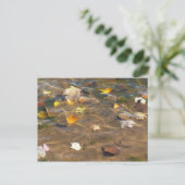 Herbstlaube in Pond Water Nature Fotografie Postkarte (Stehend Vorderseite)