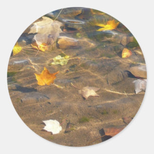 Herbstlaube in Pond Water Nature Fotografie Runder Aufkleber