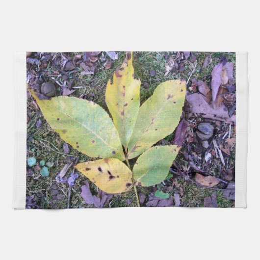 Herbstlaube Küchentücher (Horizontal)