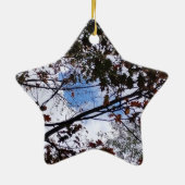 Herbstlaube mit Peeking Blue Sky Keramik Ornament (Hinten)