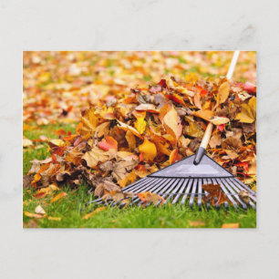 Herbstlaube mit Rake Postkarte