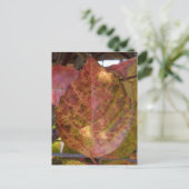 Herbstlaube Postkarte (Stehend Vorderseite)