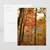 Herbstlaube Trees Feiertagspostkarte (Vorne/Hinten)