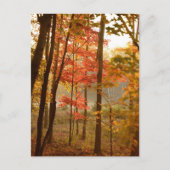 Herbstlaube Trees Feiertagspostkarte (Vorderseite)