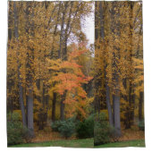 Herbstlaube Tulip Poplar Trees Duschvorhang (Vorderseite)
