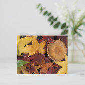 Herbstlaube und Rollstuhl Postkarte (Stehend Vorderseite)