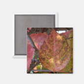 Herbstlaubs Magnet (Vorderseite/Rückseite)