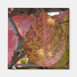 Herbstlaubs Magnet