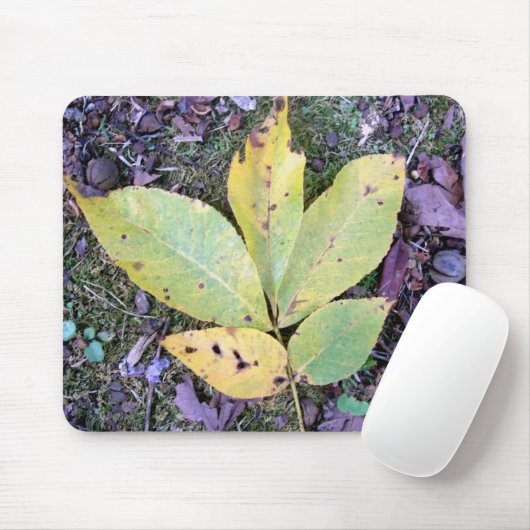 Herbstlaubs Mousepad (Mit Mouse)