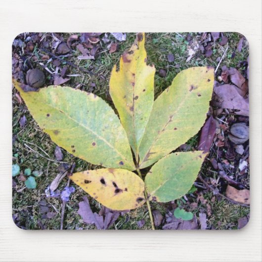 Herbstlaubs Mousepad (Vorne)
