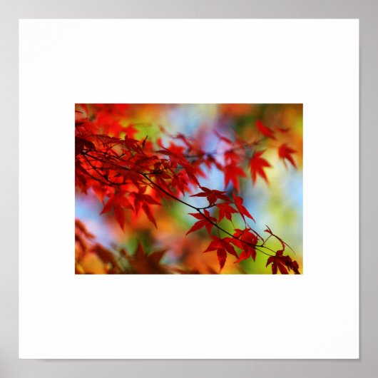 Herbstlaubs Poster (Vorne)