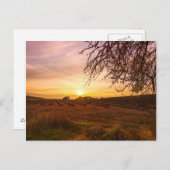 Herbstlavenfeld bei Sonnenuntergang Postkarte (Vorne/Hinten)