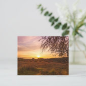Herbstlavenfeld bei Sonnenuntergang Postkarte (Stehend Vorderseite)