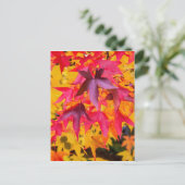 Herbstleaale rot und gelb postkarte (Stehend Vorderseite)
