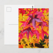 Herbstleaale rot und gelb postkarte (Vorne/Hinten)