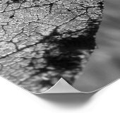 Herbstleaf 2 - B&W Poster (Ecke)