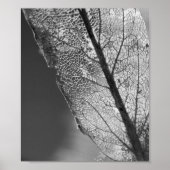 Herbstleaf - B&W Poster (Vorne)