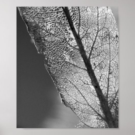 Herbstleaf - B&W Poster (Vorne)