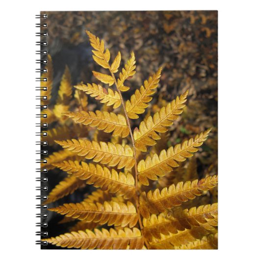 Herbstleaf Golden Fern Foto Notizblock (Vorderseite)