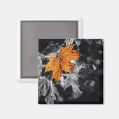 Herbstleaf Magnet (Vorderseite/Rückseite)