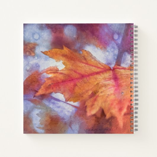 Herbstleaf-Malerei Notizblock (Rückseite)
