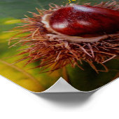 Herbstleaf mit Nut & Emily Dickinson Gedicht Poste Poster (Ecke)