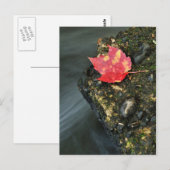 Herbstleaf Postkarte (Vorne/Hinten)