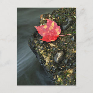 Herbstleaf Postkarte