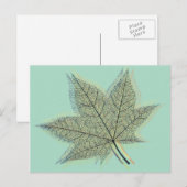 Herbstleaf Postkarte (Vorne/Hinten)