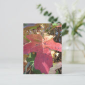 Herbstleaf Postkarte (Stehend Vorderseite)