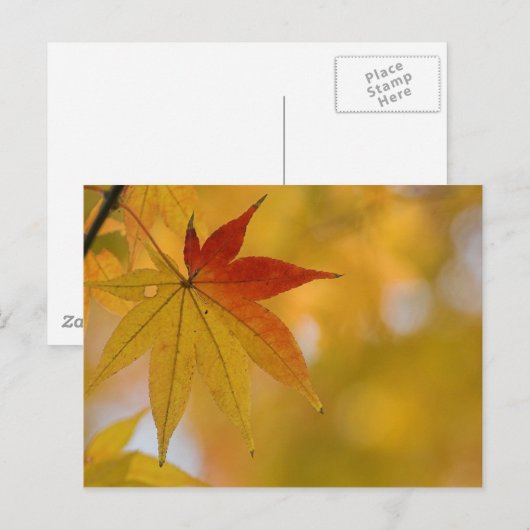 Herbstleaf Postkarte (Vorne/Hinten)