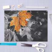 Herbstleaf Seidenpapier (Handwerk)