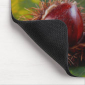 Herbstleaf und Nut Mouse Pad Mousepad (Ecke)