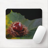 Herbstleaf und Nut Mouse Pad Mousepad (Mit Mouse)