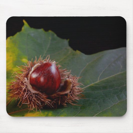 Herbstleaf und Nut Mouse Pad Mousepad (Vorne)
