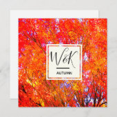 Herbstleaves (Vorne/Hinten)