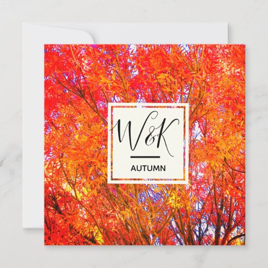 Herbstleaves (Vorderseite)