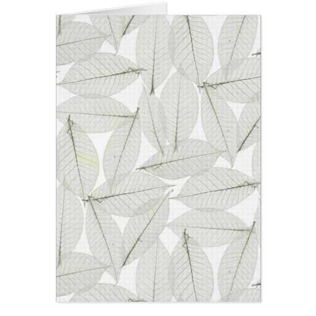 Herbstleaves (Vorne)