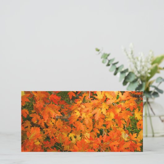 Herbstleaves (Stehend Vorderseite)