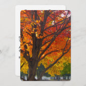 Herbstleaves aus Gelborn Einladung (Vorne/Hinten)