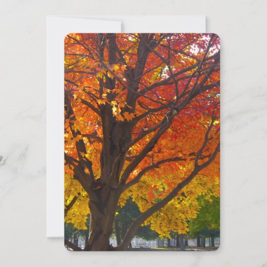 Herbstleaves aus Gelborn Einladung (Vorderseite)