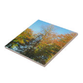 Herbstleaves & Blauer Himmel - Personalisierte Ker Fliese (Seite)