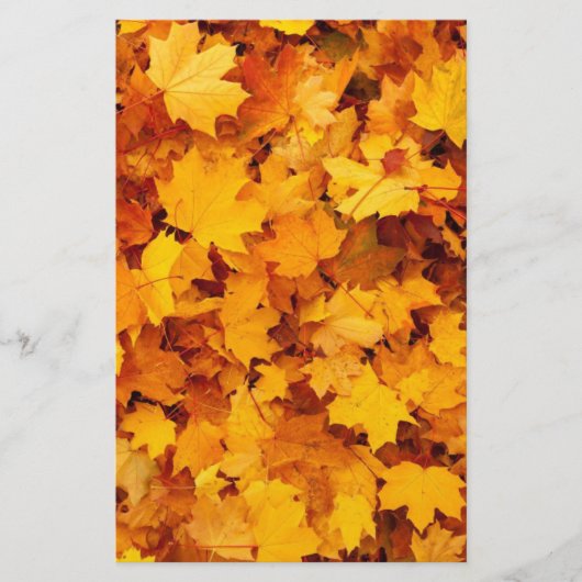 Herbstleaves Briefpapier (Vorderseite)