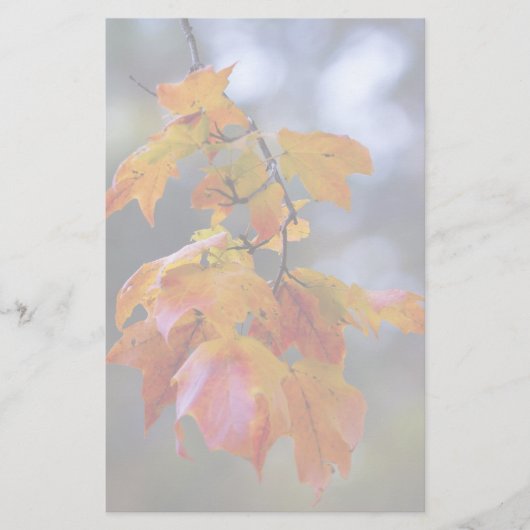 Herbstleaves Briefpapier (Vorderseite)