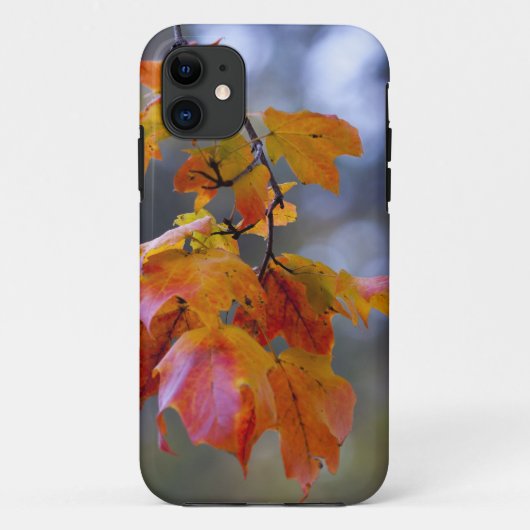 Herbstleaves Case-Mate iPhone Hülle (Rückseite)