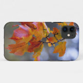Herbstleaves Case-Mate iPhone Hülle (Rückseite (Horizontal))