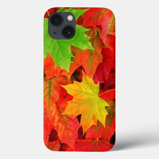 Herbstleaves Case-Mate iPhone Hülle (Rückseite)