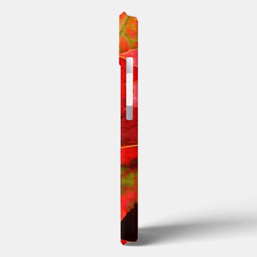 Herbstleaves Case-Mate iPhone Hülle (Rückseite / Links)