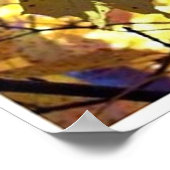 Herbstleaves Fall Bäume Sonnenschein Poster (Ecke)