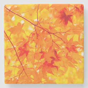 Herbstleaves Fall Nature Orange Steinuntersetzer